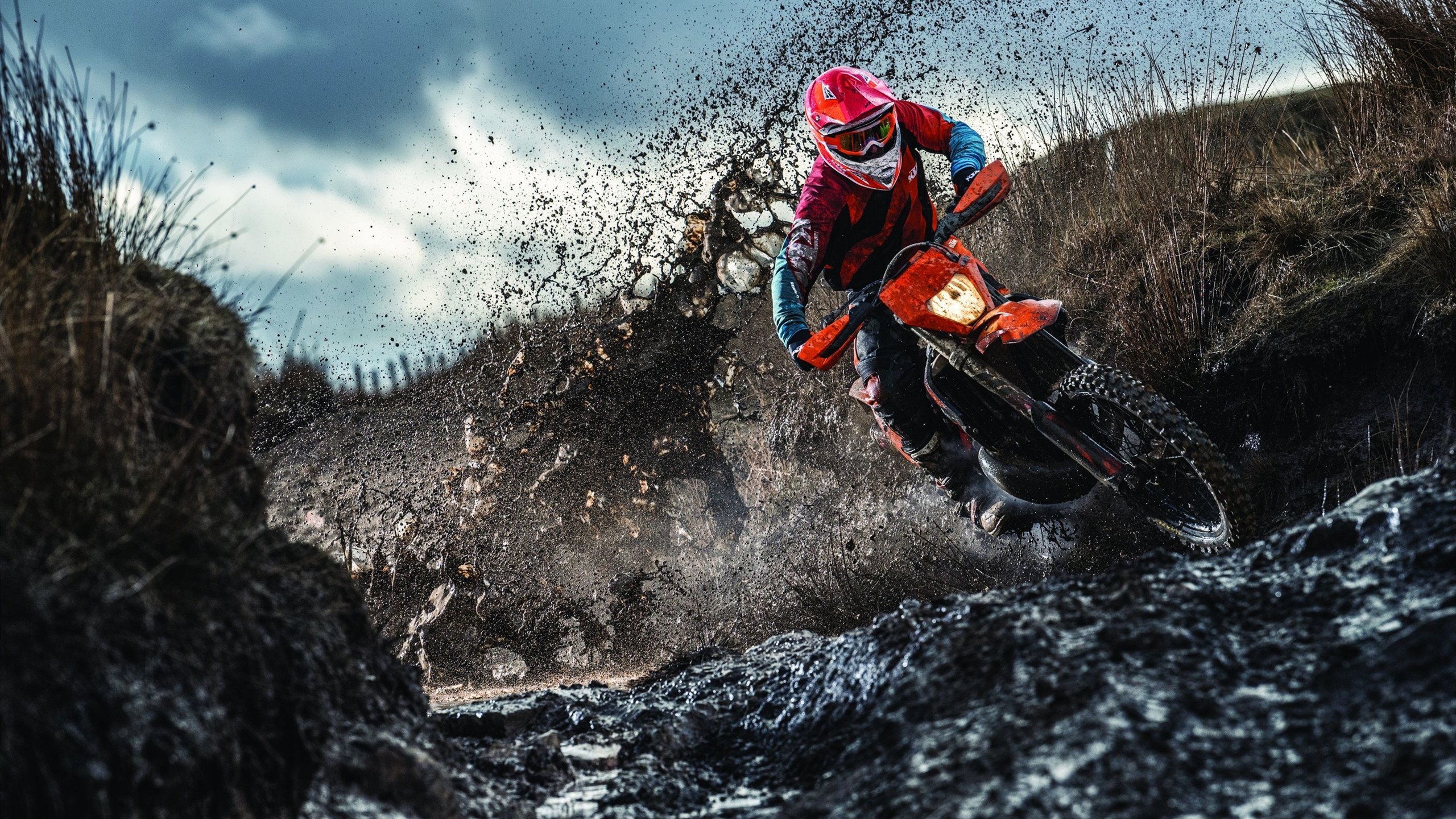 塞内加尔马术协会设立青少年马术奖学金，支持优秀学员发展。，塞内加尔马塔尔