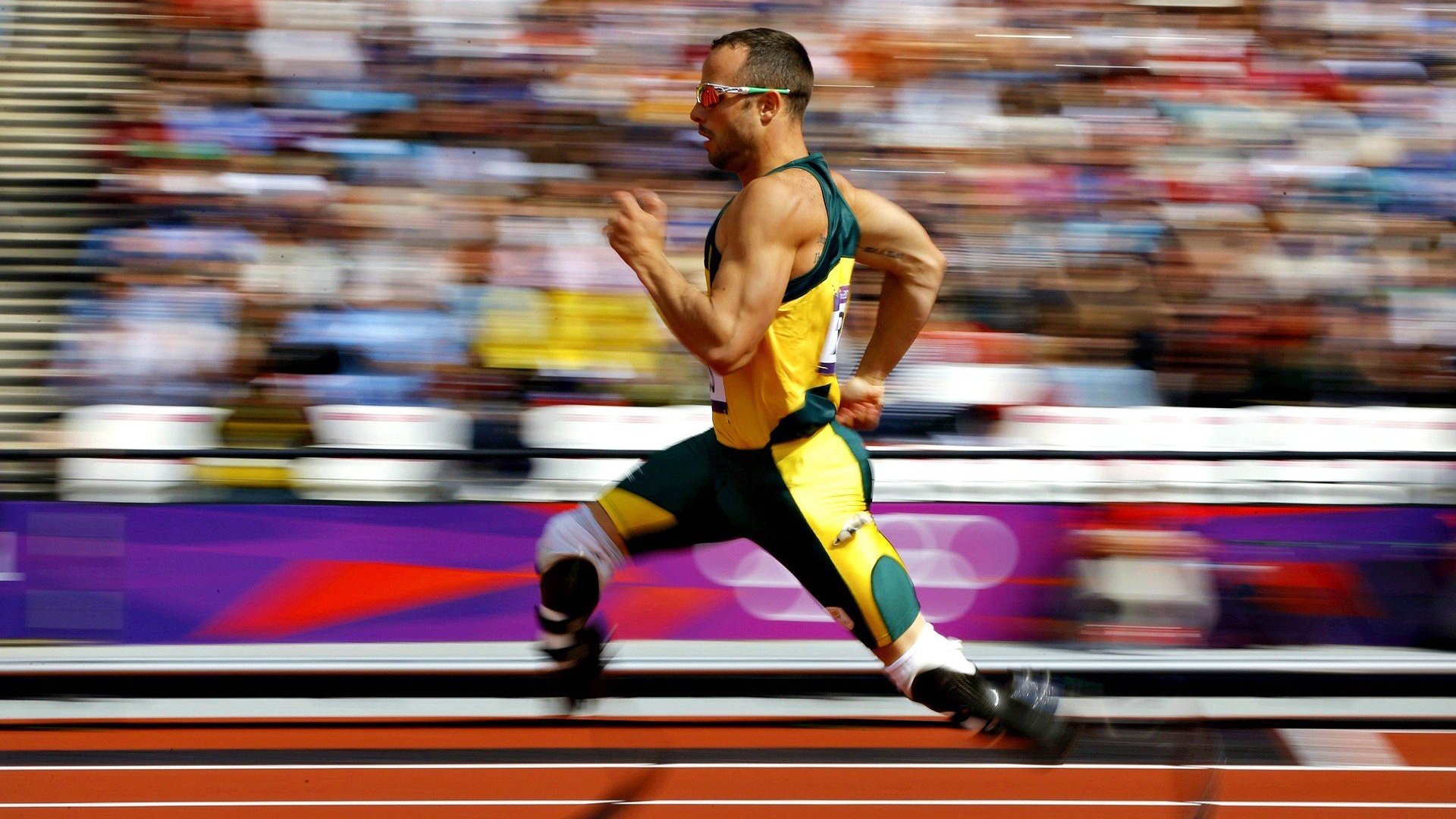 球员故事：他们如何从平凡迈向传奇？，球星故事汇